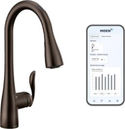 Moen