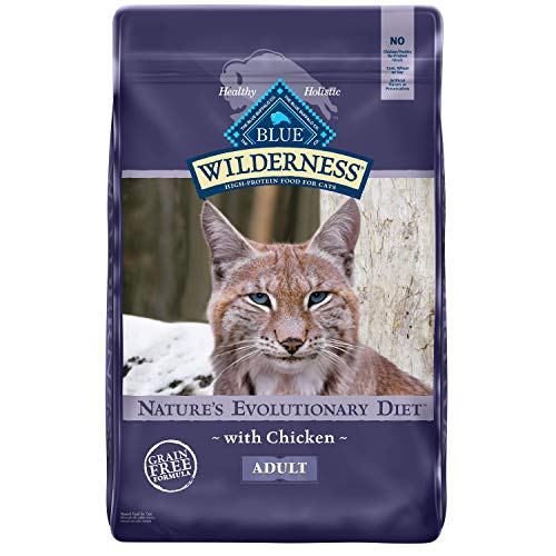 best natural grain free cat food