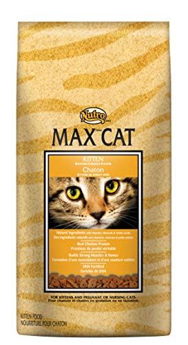 Nutro MAX Cat Dry Kitten Food