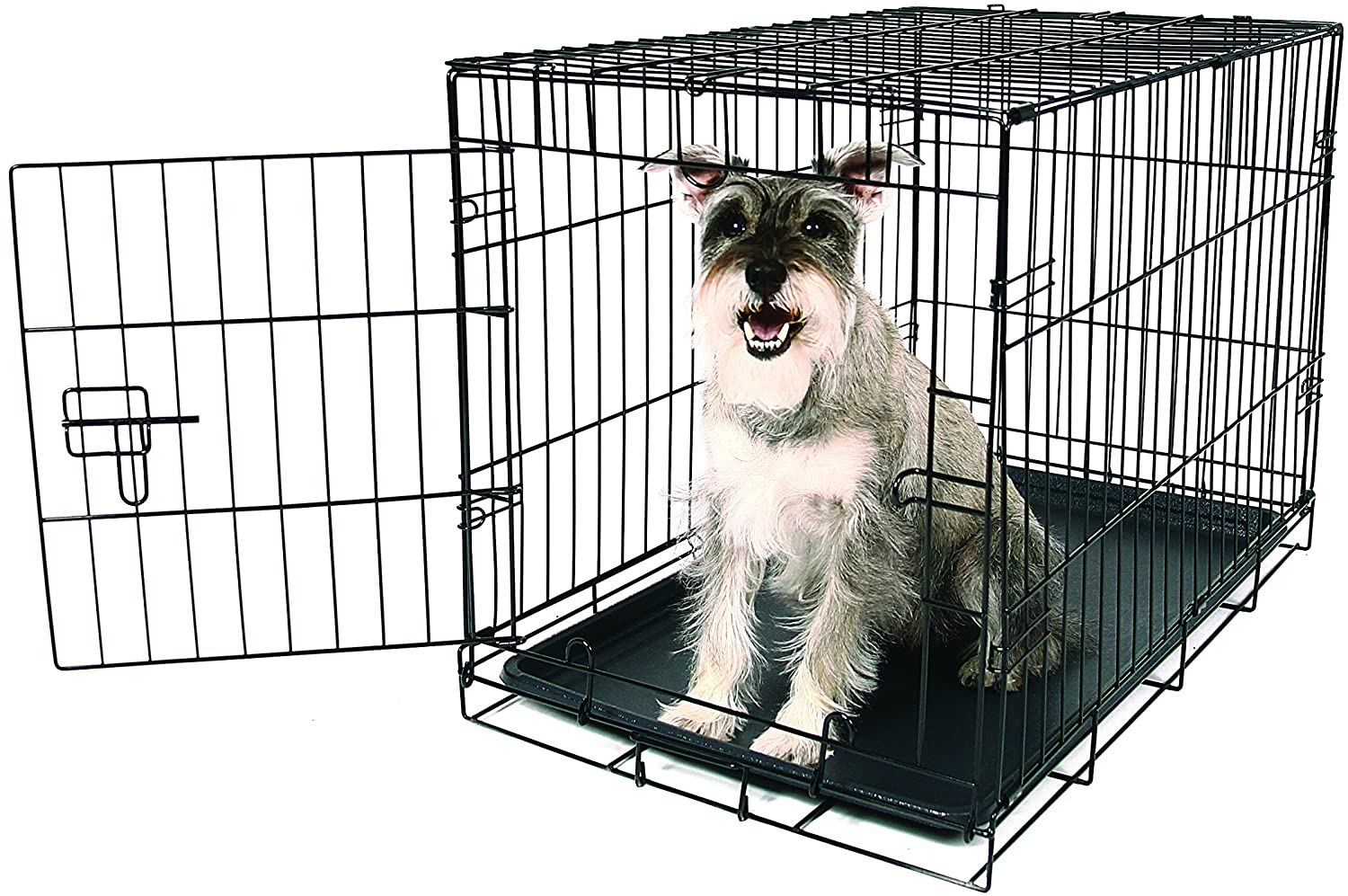 Carlson secure and compact single door metal hotsell dog crate