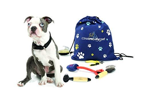 Bowls Pads Luxury Bed Brush Puppy/Dog Starter Pack Toy Travel Bottle 