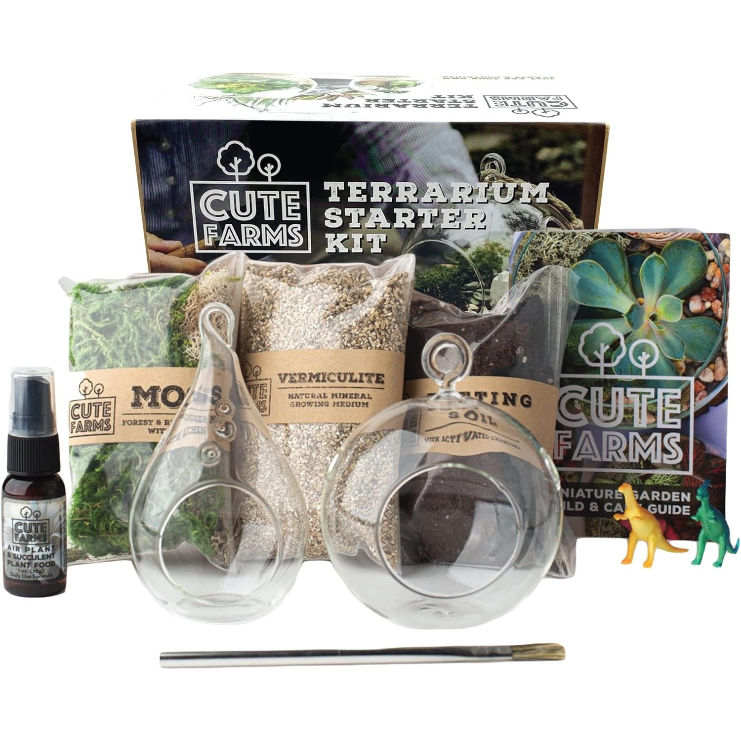 Terrarium Starter Kit + Glass Bowl – Cute Farms