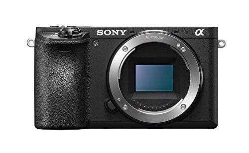 Sony a6500 Mirrorless