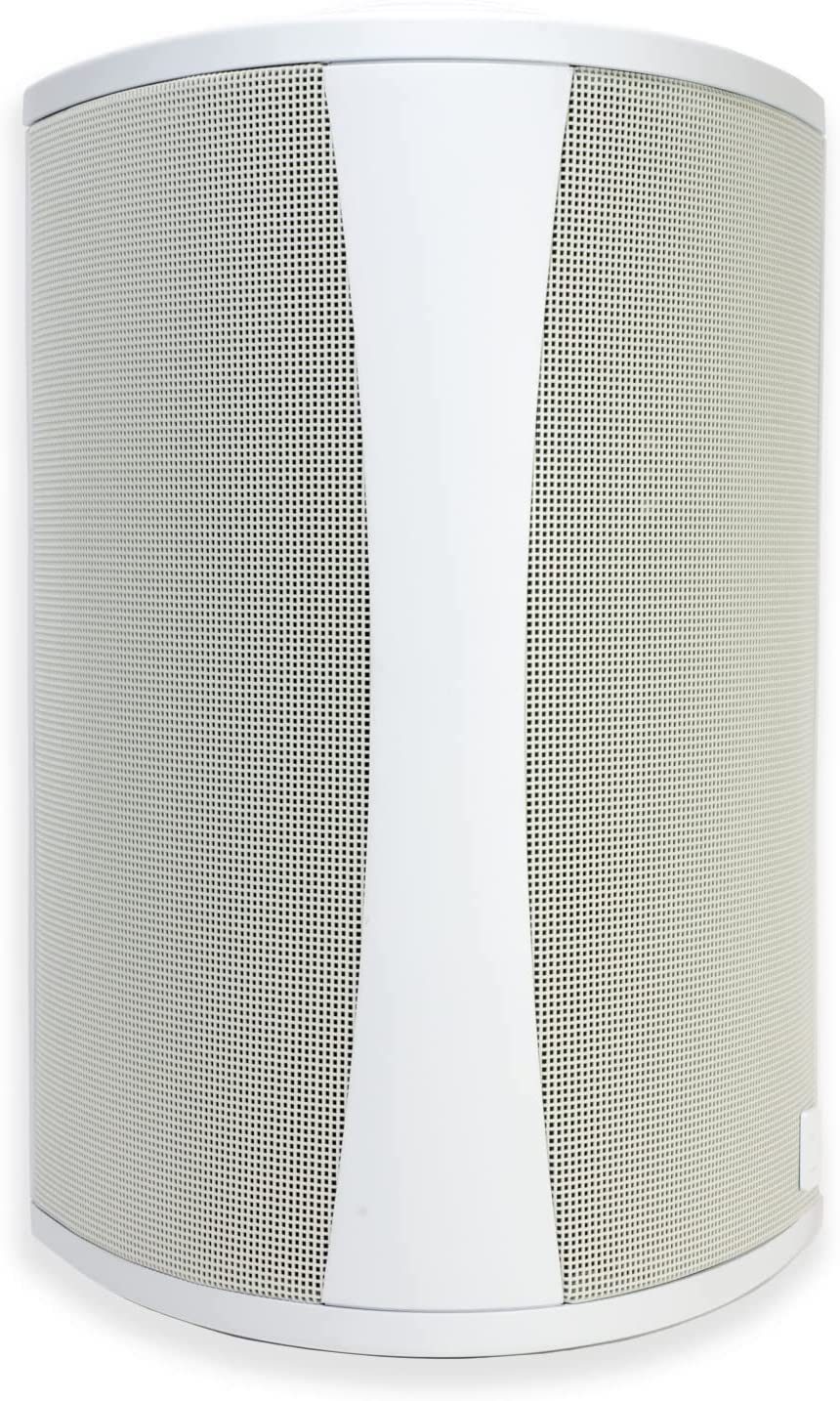 Definitive Technology AW 6500 Outdoor Speaker