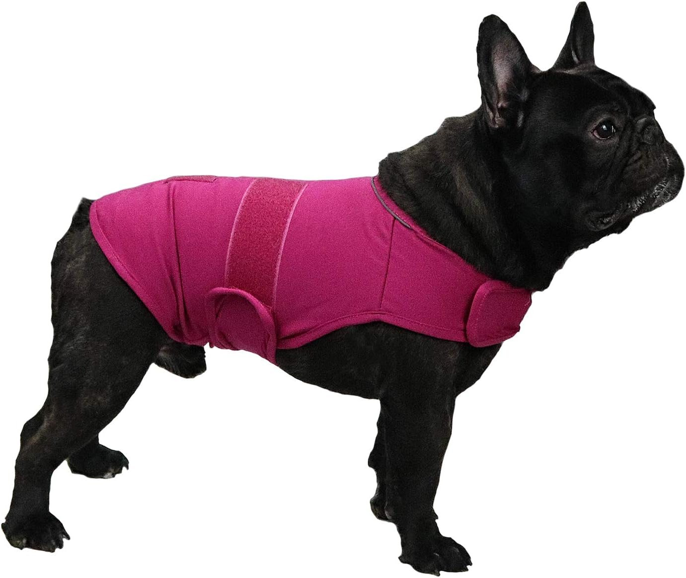 cattamao Comfort Dog Anxiety Relief Coat