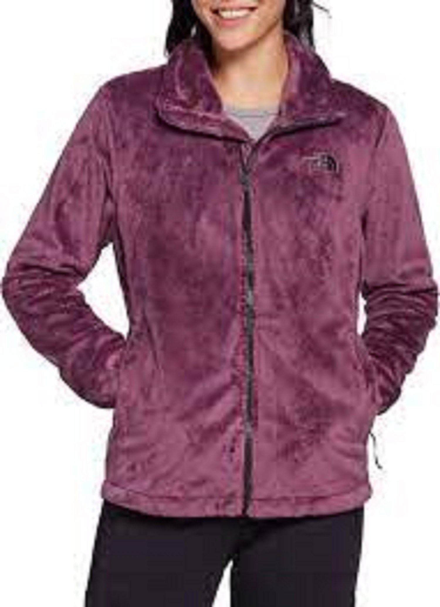 best winter jackets womens north face