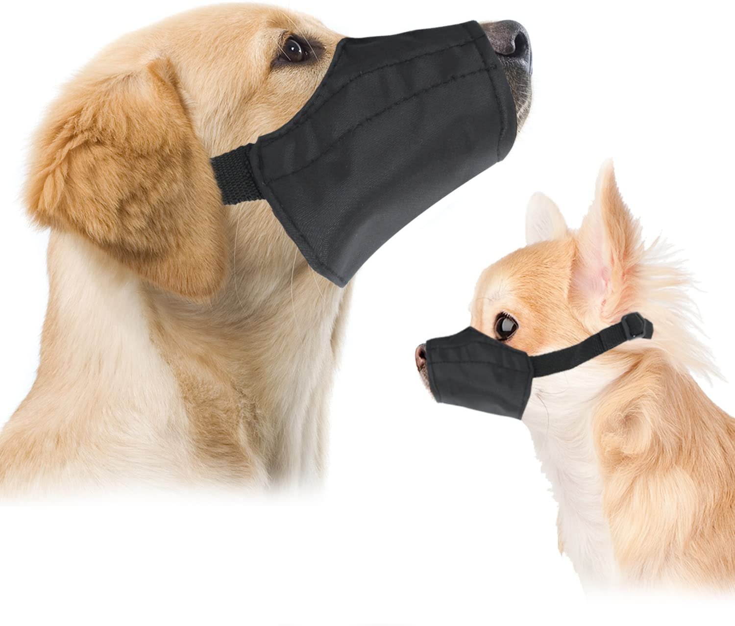 what is a muzzle on a dog