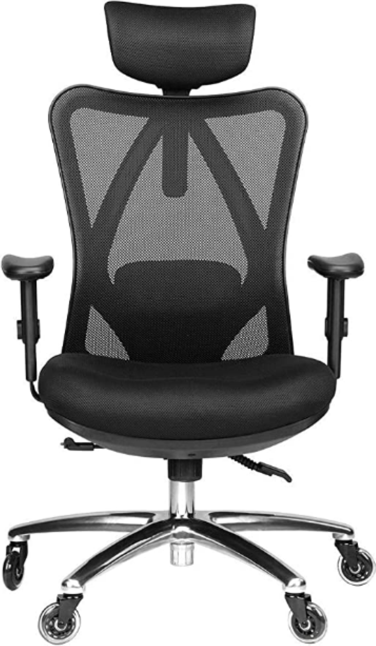 Techni Mobili Truly Ergonomic Mesh Office Chair with Headrest & Lumbar Support, Black