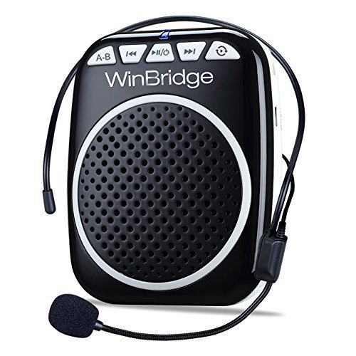 best portable voice amplifier