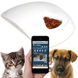 best automatic pet feeder 2018