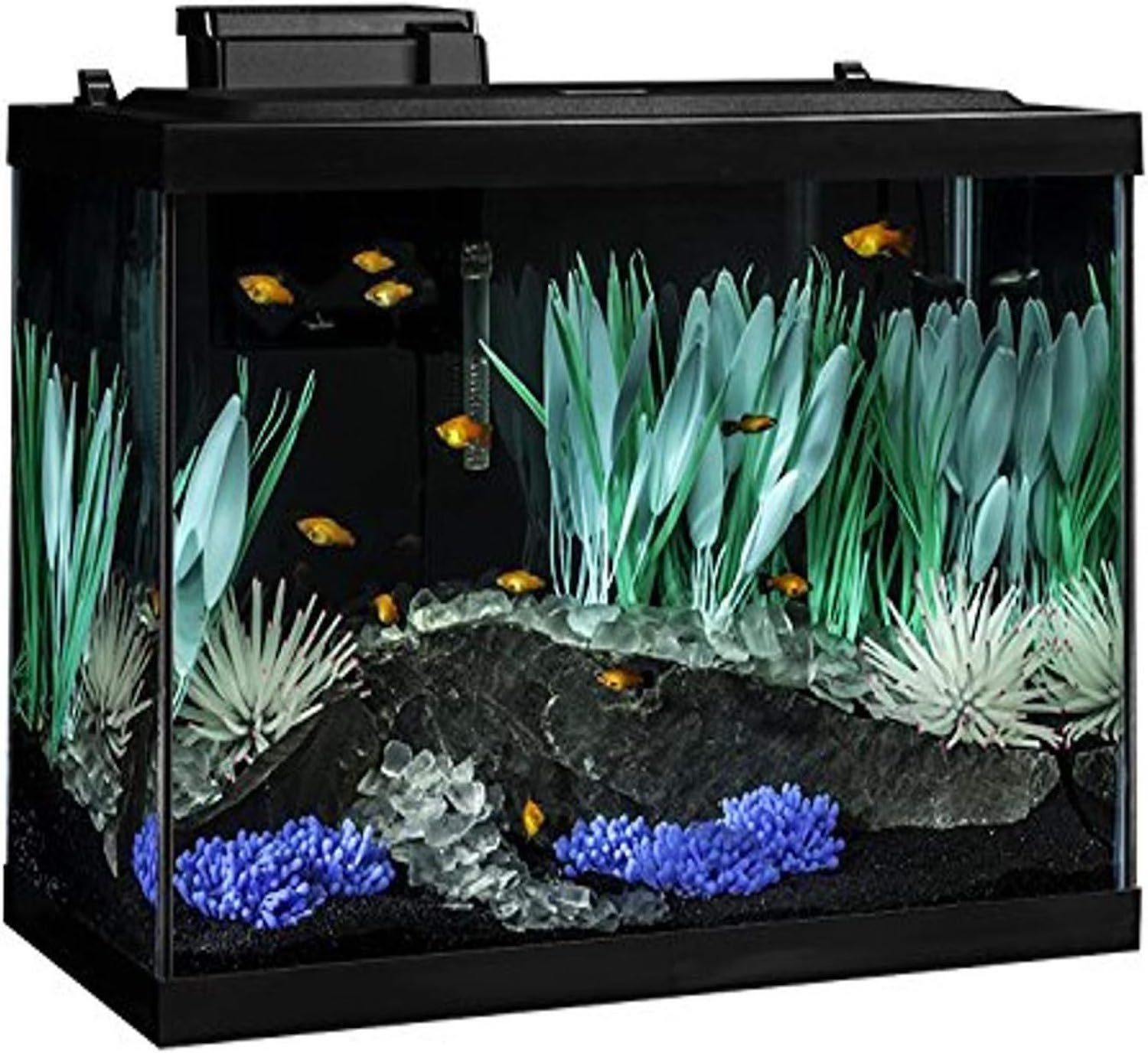 Tetra Goldfish LED Kit 10gal - PET NATION