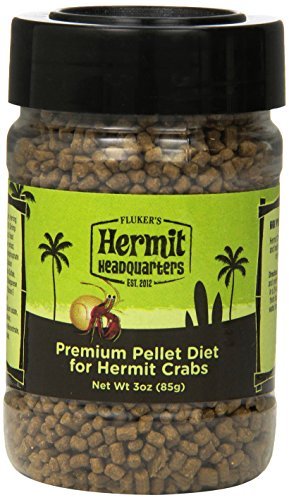 hermit crab food