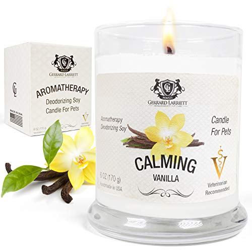 are aromatherapy candles safe for dogs