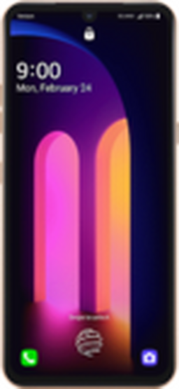 LG