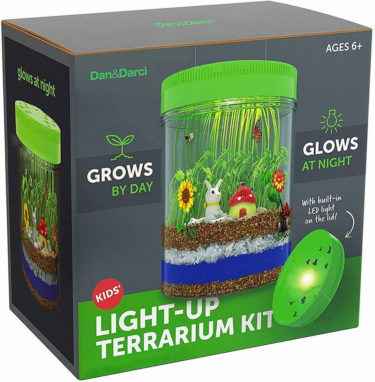Mini Explorer Light-up Terrarium Kit for Kids
