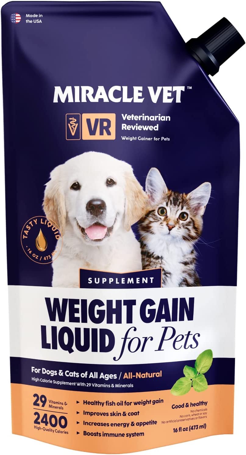 liquid dog food for older dogs