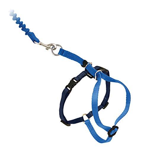 PetSafe Come With Me Kitty Harness