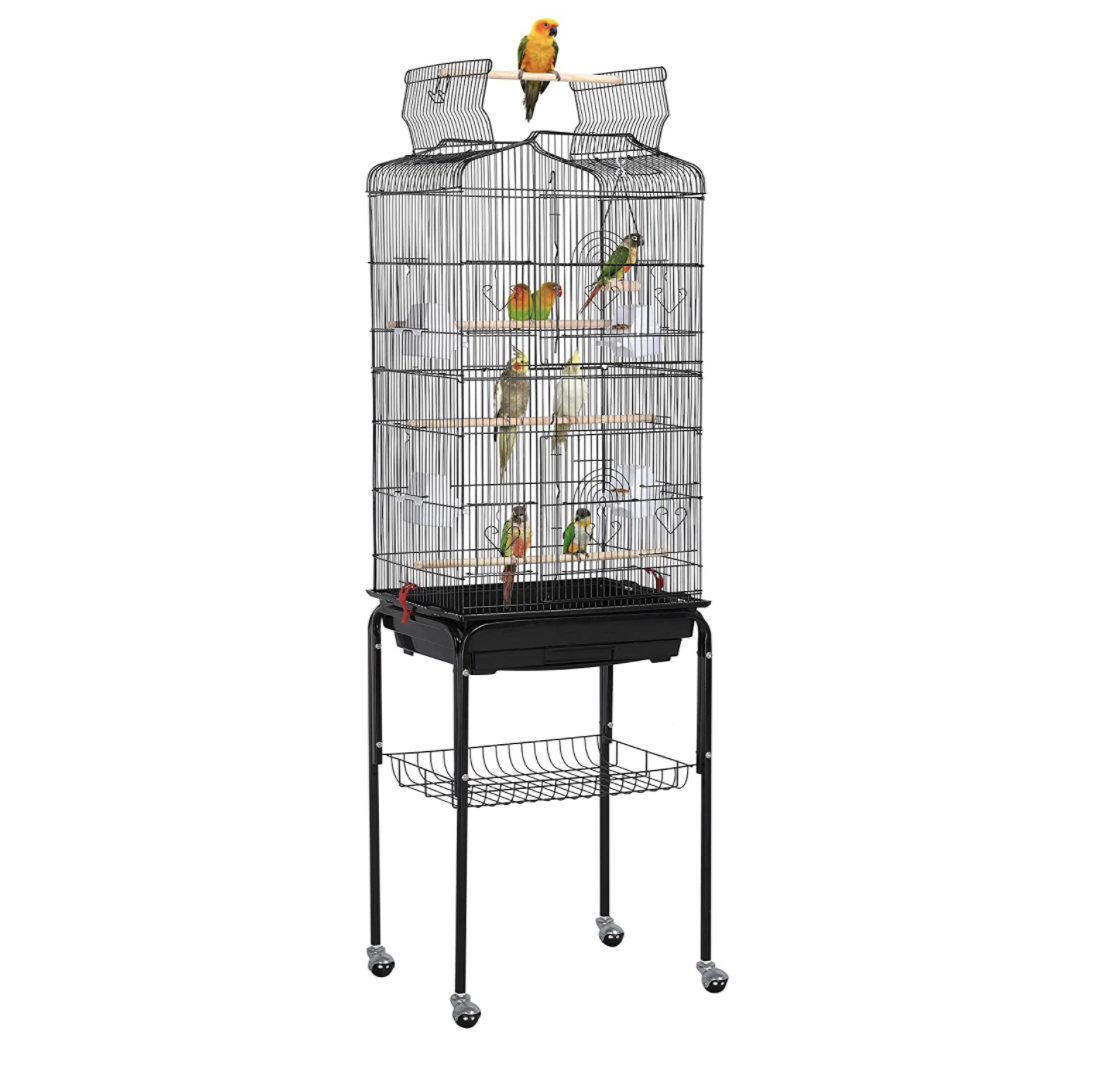 MOMO z HOUSE特別価格VIVOHOME 19 Inch Acrylic Bird Loveb好評販売中 Conures